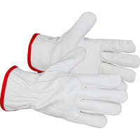 Kesztyű Strend Pro Flavus Winter, téli, védő, szigetelt, teljes bőr, 10/XL méret, buborékfólia