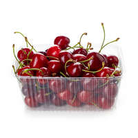 Globál Pack Gyümölcsös doboz 1/2 kg