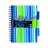 PUKKA PAD Spirálfüzet Pukka Pad Project Book, A/5, vonalas, 250 oldal, 3 elválasztó, színes PP borító