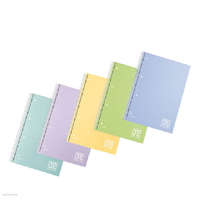 BLASETTI ONE COLOR Spirálfüzet Blasetti One Color, A/4, vonalas, 80 lap, perforált, lyukasztott, PP borító, pasztell, 80g, 7037