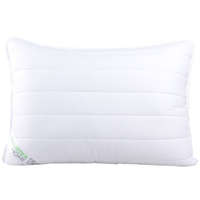 Naturtex Aloe Vera párna 40x50 cm