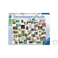 Ravensburger Ravensburger puzzle 1500 db-os – Vicces állatok kollázs