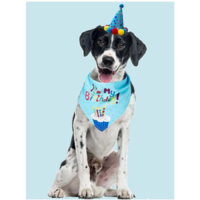  Kutya Születésnapi kendő, fiús (kék)