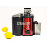 Royalty Line ROYALTY LINE PJ-19001 ZÖLDSÉG ÉS GYÜMÖLCSCENTRIFUGA 700W