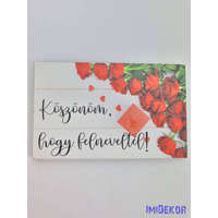 Köszönöm, hogy felneveltél tábla 5x8cm - téglalap