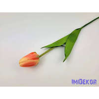  Bimbós tulipán szálas 53 cm - Barack