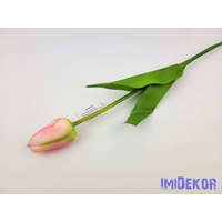 Bimbós tulipán szálas 53 cm - Rózsaszín