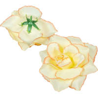  Rózsa nyílott selyemvirág fej nyílt rózsafej 10 cm - Krém-Barack cirmos szélű