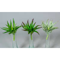  Aloe vera gumis élethű pozsgás 15 cm - 3 színben