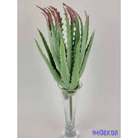 Aloe vera enyhén gumis 31 cm - Hamvas
