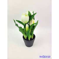  Cserepes gumi tulipán 2+3 fejes 23 cm - Zöldes Fehér