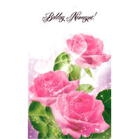 Képeslap Boldog Névnapot borítékkal E 21-46