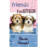 Képeslap Boldog Névnapot borítékkal E 19-16