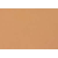 Moosgumi/dekorgumi lap CreArt testszínű 1 db