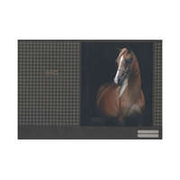 Füzetborító A/4 papírbetétes 420x290 mm Geo Horse