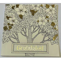 Képeslap színezhető, Lizzy Card, borítékkal, négyzetes, Gratulálok! felirattal CNA05 UTOLSÓ DARAB