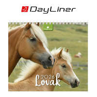 Dayliner Képes asztali naptár 150 x 130 mm, fehér lapokkal Lovak álló mini Dayliner 2026.