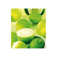  Szalvéta 33 x 33 cm 3 rétegű Lime