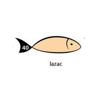 Karton Rainbow 50x70 cm 230g pasztell lazac 40