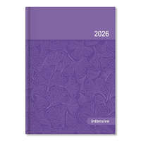 Határidőnapló Period Intensive B/6 heti lila lakk papír 2026