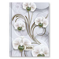 Határidőnapló VECTRALINE Mystic White princess B/6 heti fehér lapos 2026.