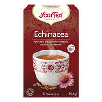Bio tea YOGI TEA Echinacea 17 filter/doboz