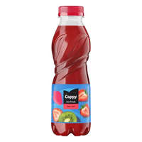  Üdítőital szénsavmentes CAPPY Ice Fruit Eper-Kiwi 0,5L