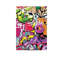 Egyéb SilverBall Graffiti Girl A4 kockás füzet A4/(87-32)