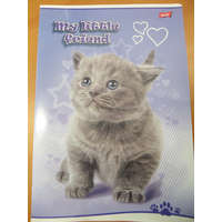 Egyéb Állatos - My Little Friend Szürke cica A4 kockás füzet, margóval
