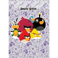 Herlitz A4 Angry Birds hangjegyfüzet (vegyes minta), A4/86-32