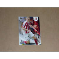 Topps 2014 Topps Premier Gold Soccer #110 Ryan Shawcross