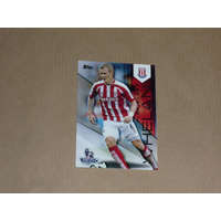 Topps 2014 Topps Premier Gold Soccer #112 Glenn Whelan