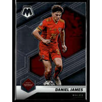 Panini 2021 Panini Mosaic Road to FIFA World Cup #83 Daniel James