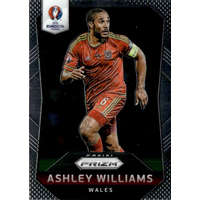 Panini 2016 Panini UEFA Euro Prizm #120 Ashley Williams