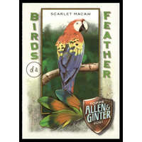 Topps 2021-22 Topps Allen and Ginter Birds of a Feather #BOF-3 Scarlet Macaw