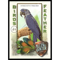 Topps 2021-22 Topps Allen and Ginter Birds of a Feather #BOF-6 Hyacinth Macaw