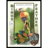 Topps 2021-22 Topps Allen and Ginter Birds of a Feather #BOF-10 Rainbow Lorikeet