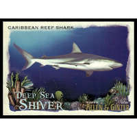 Topps 2021-22 Topps Allen & Ginter Deep Sea Shiver #DSS-13 Caribbean Reef Shark
