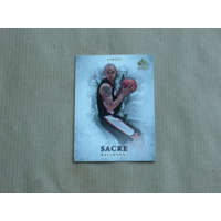 UpperDeck 2012-13 SP Authentic #43 Robert Sacre