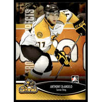 Upper Deck 2012 In The Game Heroes and Prospects #82 Anthony DeAngelo