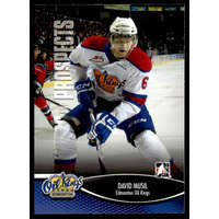 Upper Deck 2012 In The Game Heroes and Prospects #148 David Musil