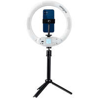 VILTROX Viltrox WE-9 Fotó RingLight Videó Kör-LED -26cm 1100LM 12W 2500K-8500K Kör-lámpa