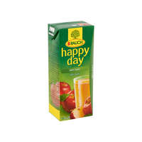Happy Day Happy Day Alma ízű gyümölcslé 100% - 200ml