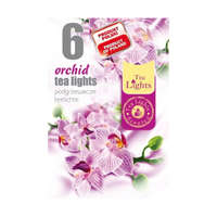 Prometeo Illatos teamécses 6db orchidea