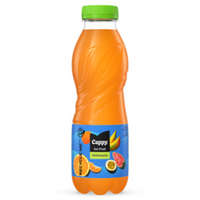 Cappy Multivitamin 0,5 L