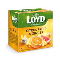 Loyd Loyd piramis tea citrus fruit-gyömbér 40g