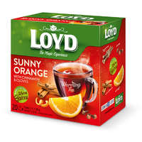 Loyd Loyd piramis HOT tea narancs-fahéj 40g