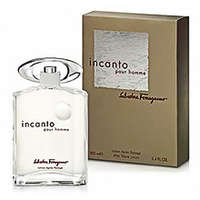 Salvatore Ferragamo Salvatore Ferragamo Incanto pour Homme Eau de Toilette, 30ml, férfi