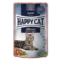 Happy Cat Happy Cat Pouch Szósz Culinary Lazac 85g