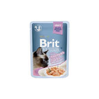 Brit Premium Brit Premium Cat Delicate Fillets in Gravy with Salmon for Sterilised 85g